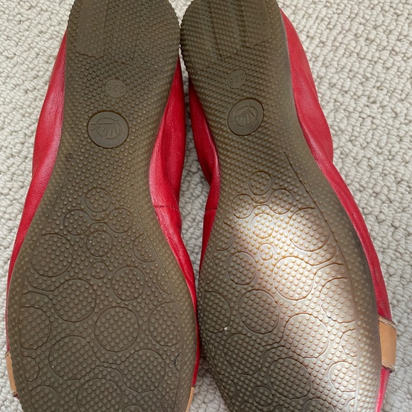 Flats - Picture 4 of 5